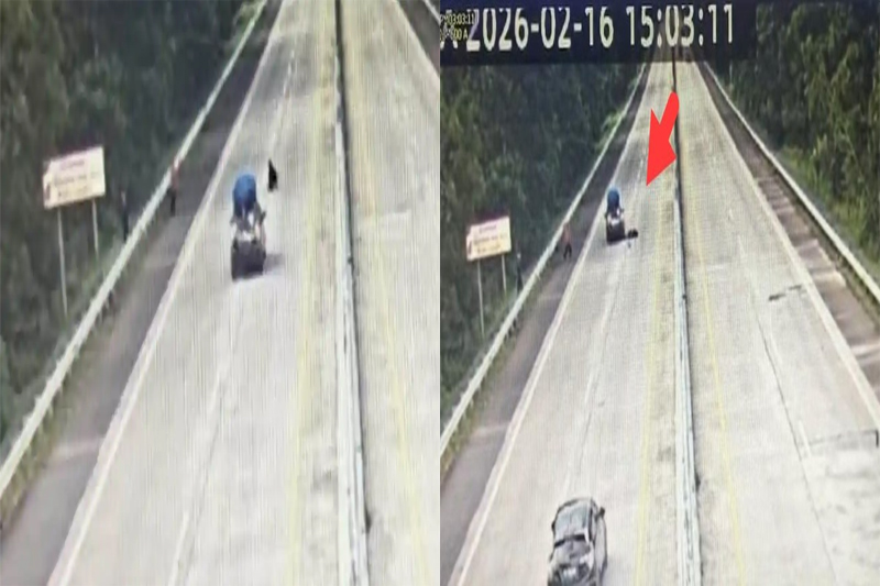 Santri Tewas Tertabrak Mobil di Tol Lampung Tengah Saat Cari Kayu Bakar