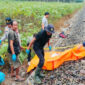 Pria Tewas Tertabrak Kereta Api di Jalur Minim Penerangan Heri Irawan Terlindas