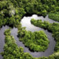 Bagian dari hutan Amazon di Peru. Foto oleh Paul Rosolei