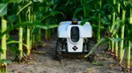 Robot Pertanian Otonom
