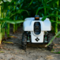 Robot Pertanian Otonom