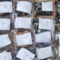 Vape isi narkotika di apartemen kawasan Kalibata