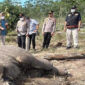 Polisi Tetapkan Pemilik Lahan Jadi Tersangka Kematian Anak Gajah TNTN