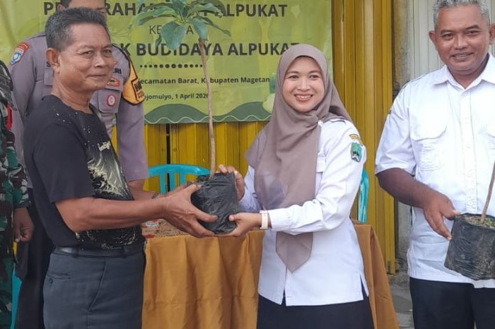 Desa Rejomulyo Salurkan 70 Bibit Alpukat untuk Perkuat Agroforestri Petani