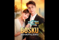 Sinopsis Drama China Bosku Suami Palsuku