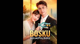 Sinopsis Drama China Bosku Suami Palsuku