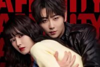 Sinopsis Drama China Affinity