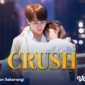 Sinopsis Drama China Crush