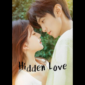 Hidden Love