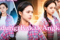 Sinopsis Drama China Dilindungi Kaka Angkat