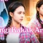 Sinopsis Drama China Dilindungi Kaka Angkat